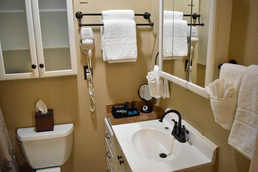 Double Suite Bathroom